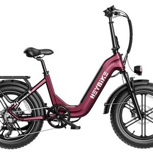 Heybike Ranger S Electric Bike.jpg