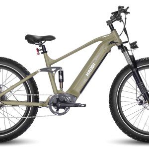 Haoqi Cheetah Electric Bike.jpg