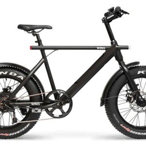 Wing Freedom Fatty 2 Electric Bike.jpg