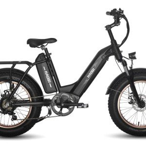 HAOQI Antelope Pro Electric Bike.jpg