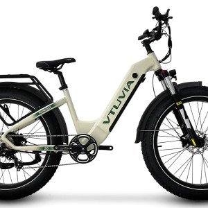 Vtuvia Reindeer Electric Bike.jpg