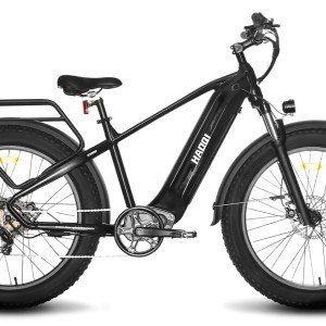 HAOQI Eagle Electric Bike.jpg