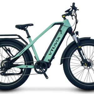 Vtuvia Gemini Electric Bike.jpg