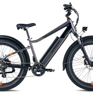 Rad Power Bikes RadRover 6 Plus Electric Bike.jpg